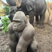 Mの画像
