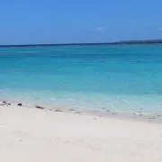 としの画像