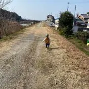 アリス