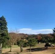 Y8000の画像