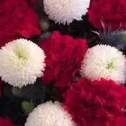 ★の画像