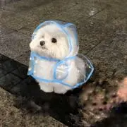 mui