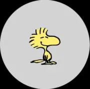 Versの画像