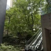 織乃