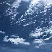 haruharuの画像