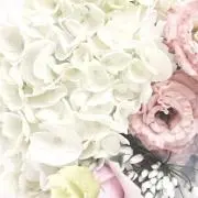 kumi1011