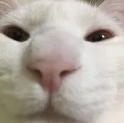 うなぎっちゃん
