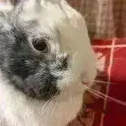 ホイップゴースト❤︎"
