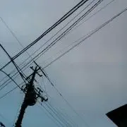 うおなぎ