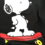 FTTS