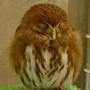 【装装】の画像
