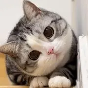 じゅん