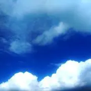 こっぺぱんの画像