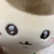 こっちゃんの画像