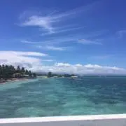 モカの画像