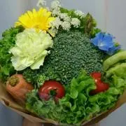 野菜の画像