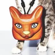 MMの画像