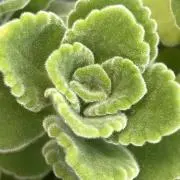 9unn1@*  プロフお読みくださいの画像
