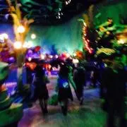 YuKiの画像