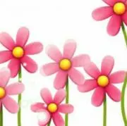 shinの画像
