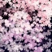 もりの