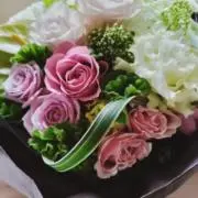 miyamaの画像