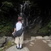 Yの画像