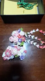 Tubakiの画像