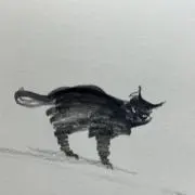 ねこさんの画像