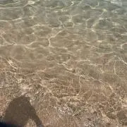 a.t