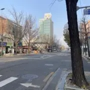 Ptpの画像