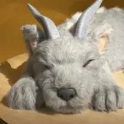 みっけ⭐︎の画像