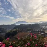 断捨離ひまこ。の画像