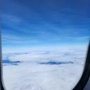 さくらの画像
