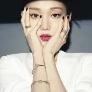 COCOの画像