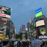 大学生の画像