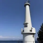 ウラの画像