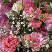 Kiro24の画像