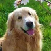 あかさんの画像