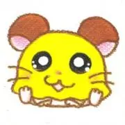 nuko。の画像