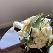 野菜の画像
