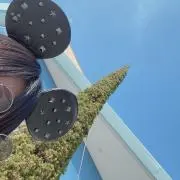 のぞみ