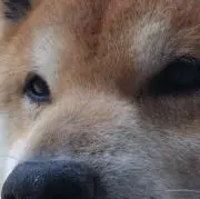 ⭐︎えぬ⭐︎の画像
