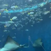 ☆ぽっぽ☆プロフ必読の画像
