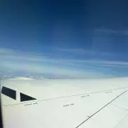 りょうりょうの画像