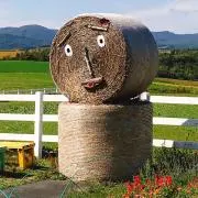 ないみちの画像