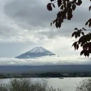 くつ下の画像