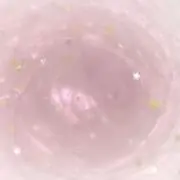 なつの画像