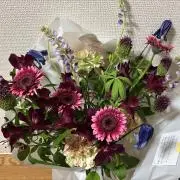 ほのぼーのの画像
