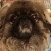 BBmama•Rの画像
